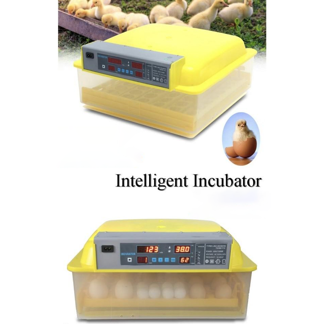 Incubator pentru 56 de oua cu control al temperaturii si umiditatii