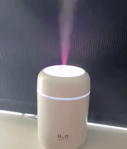 Umidificator H20