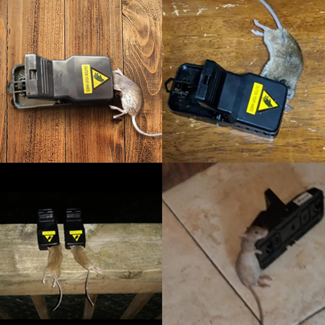 6 capcane electrice pentru șoarece