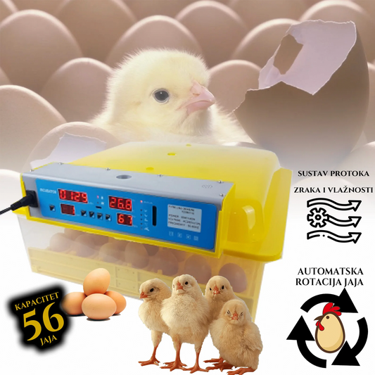 Incubator pentru 56 de oua cu control al temperaturii si umiditatii