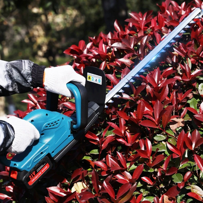 Agram Tools acu trimmer pentru un gard viu