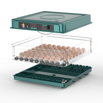 Incubator automat de ouă – capacitate 130 ouă