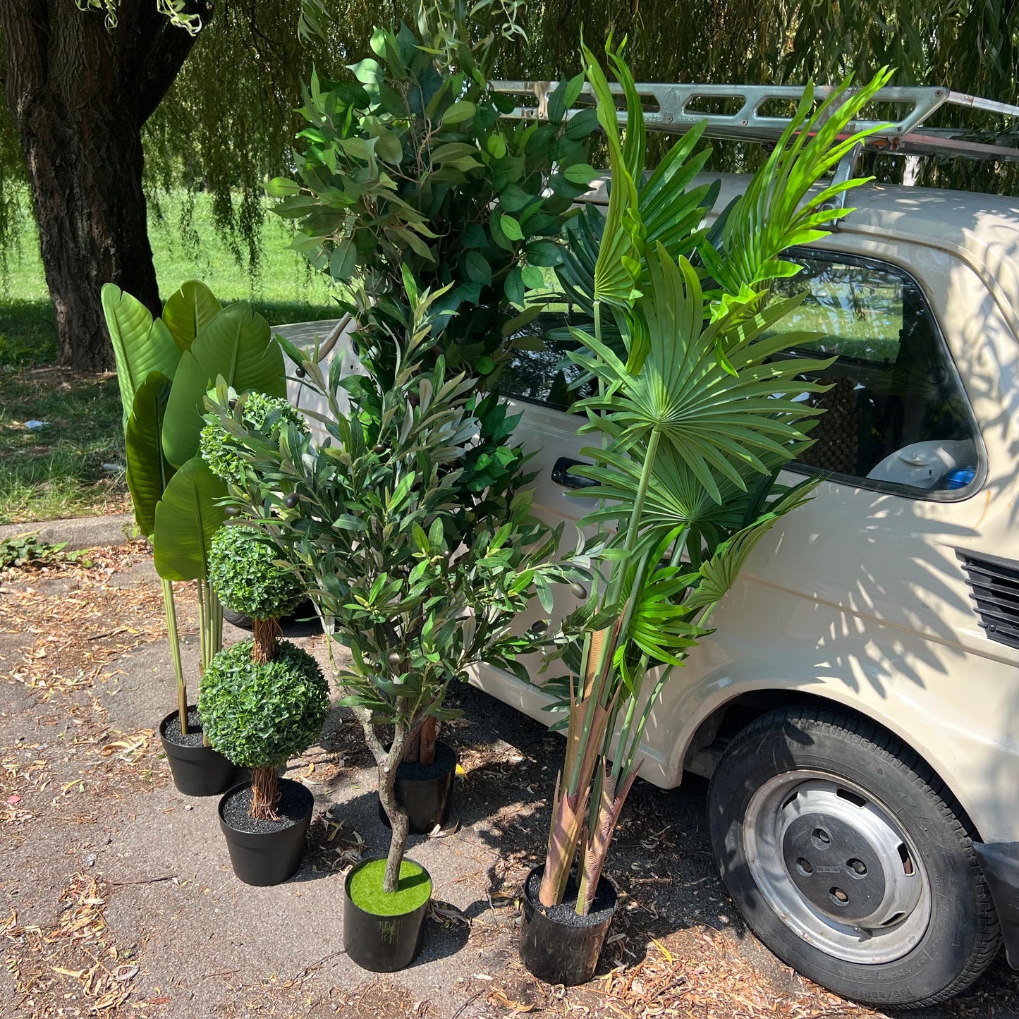 Plante artificiale pentru fiecare spațiu – selectați tipul dvs